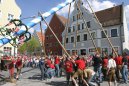 maibaum.jpg